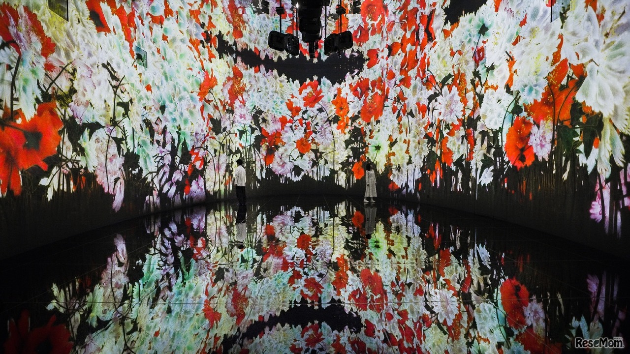 新作展示「教会跡に増殖する無量の生命 - A Whole Year per Year」(C)チームラボ