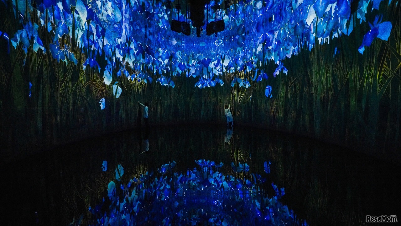 新作展示「教会跡に増殖する無量の生命 - A Whole Year per Year」(C)チームラボ