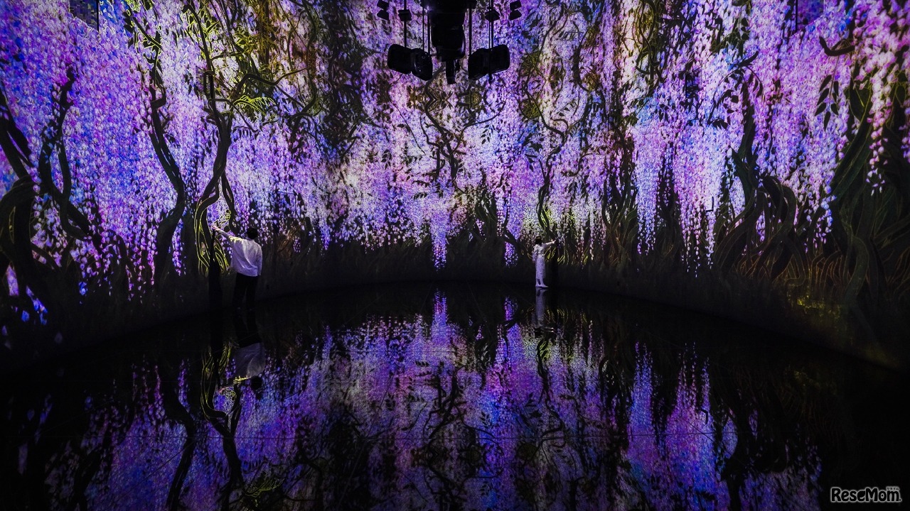 新作展示「教会跡に増殖する無量の生命 - A Whole Year per Year」(C)チームラボ