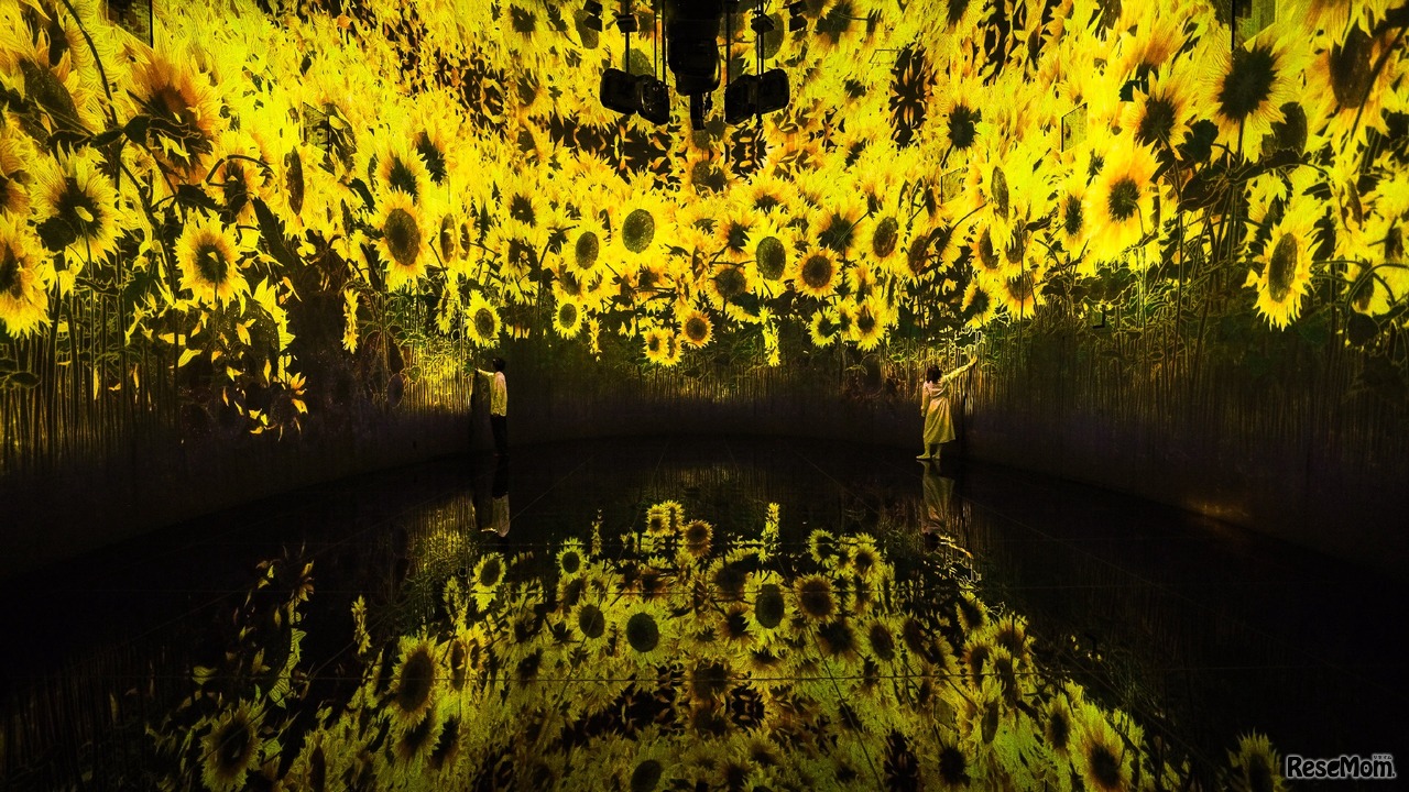 新作展示「教会跡に増殖する無量の生命 - A Whole Year per Year」(C)チームラボ