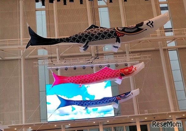 巨大こいのぼり