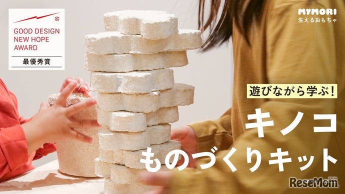 【自由研究】キノコの菌糸体を育て、ブロック作り「生えるおもちゃ」ってなに？