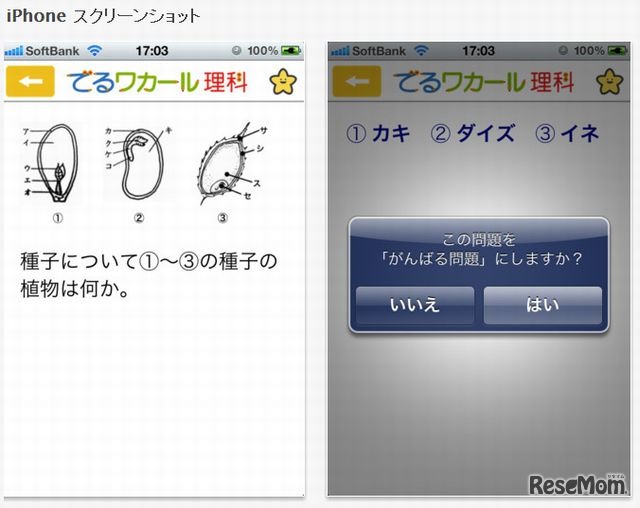 でるワカール理科