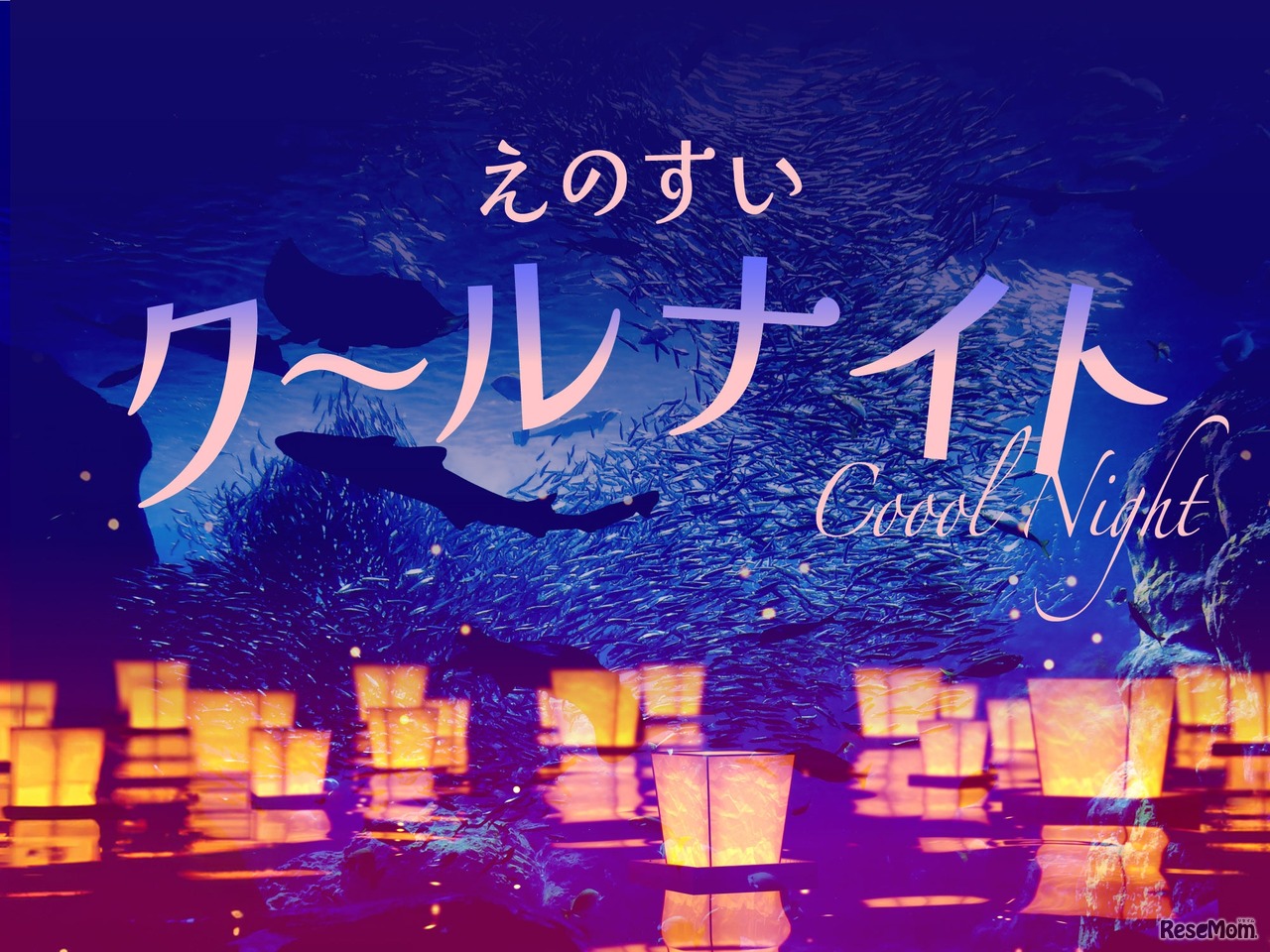 えのすいクールナイト