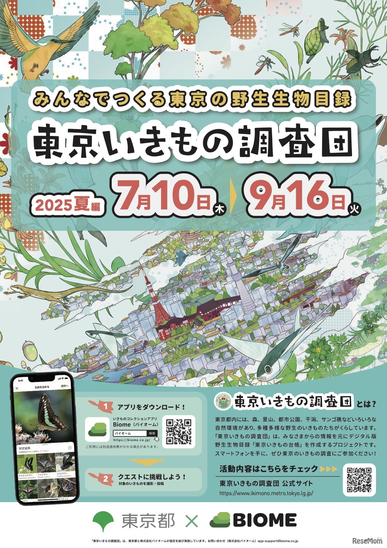 東京いきもの調査団 2025夏編 チラシ