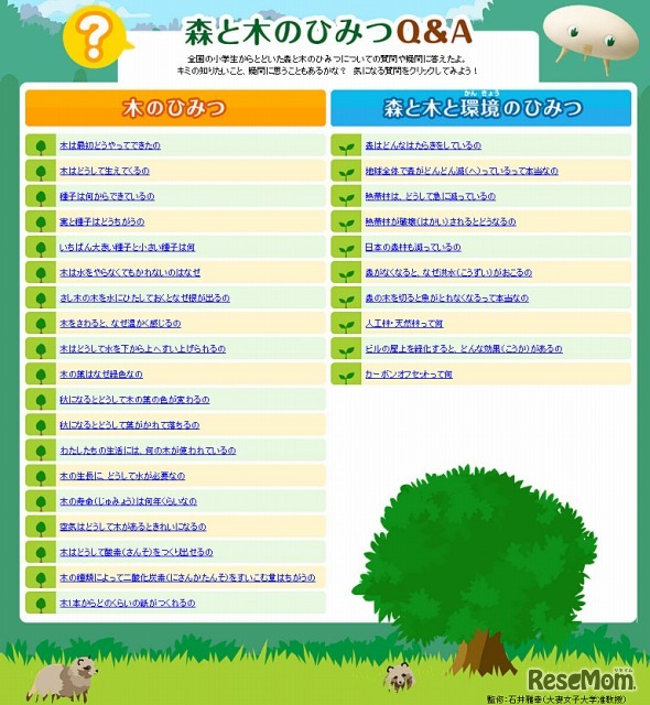 森と木のひみつQ＆A