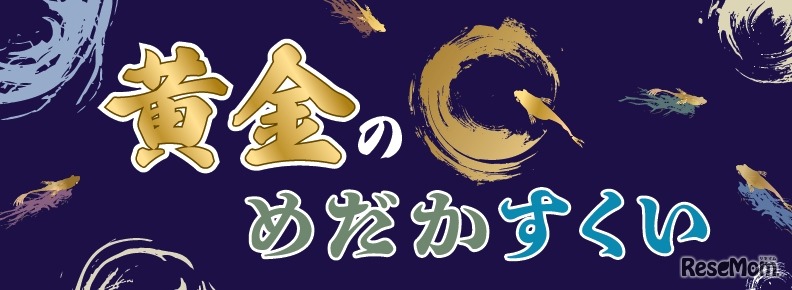 黄金のめだかすくい