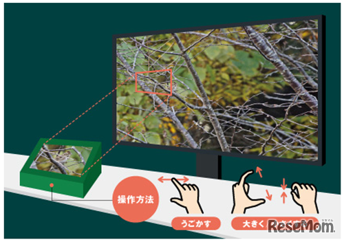 東京ネイチャースコープ