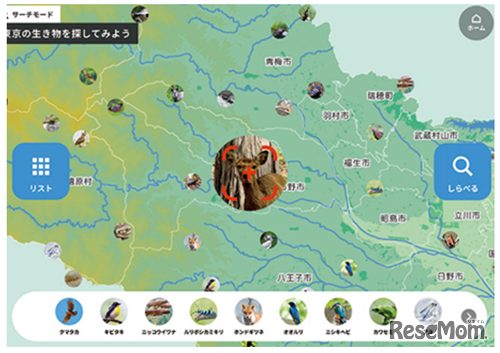 東京いきものAR図鑑