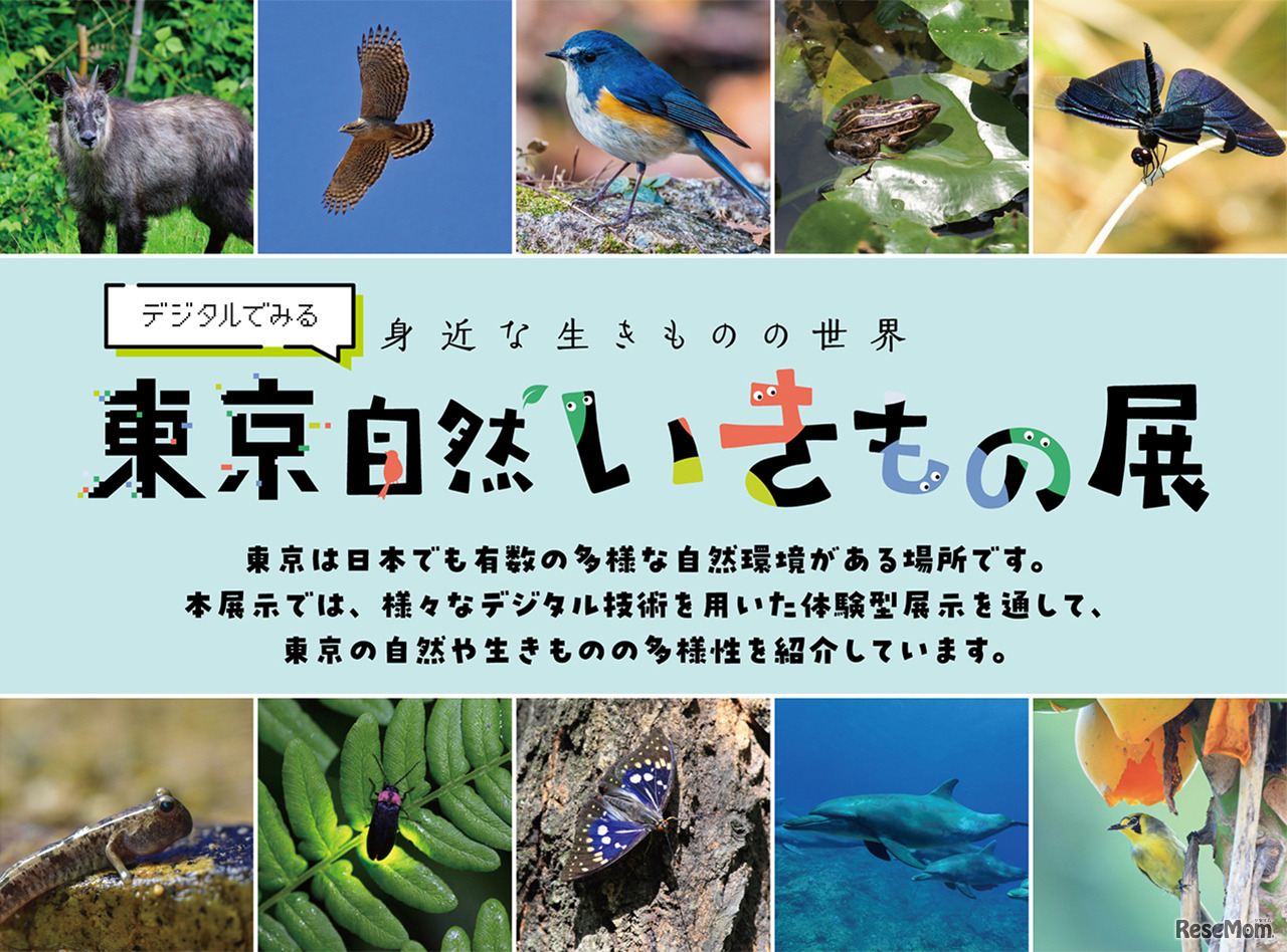 デジタルでみる東京自然いきもの展