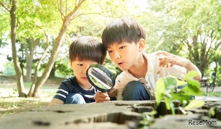 自由研究（イメージ）