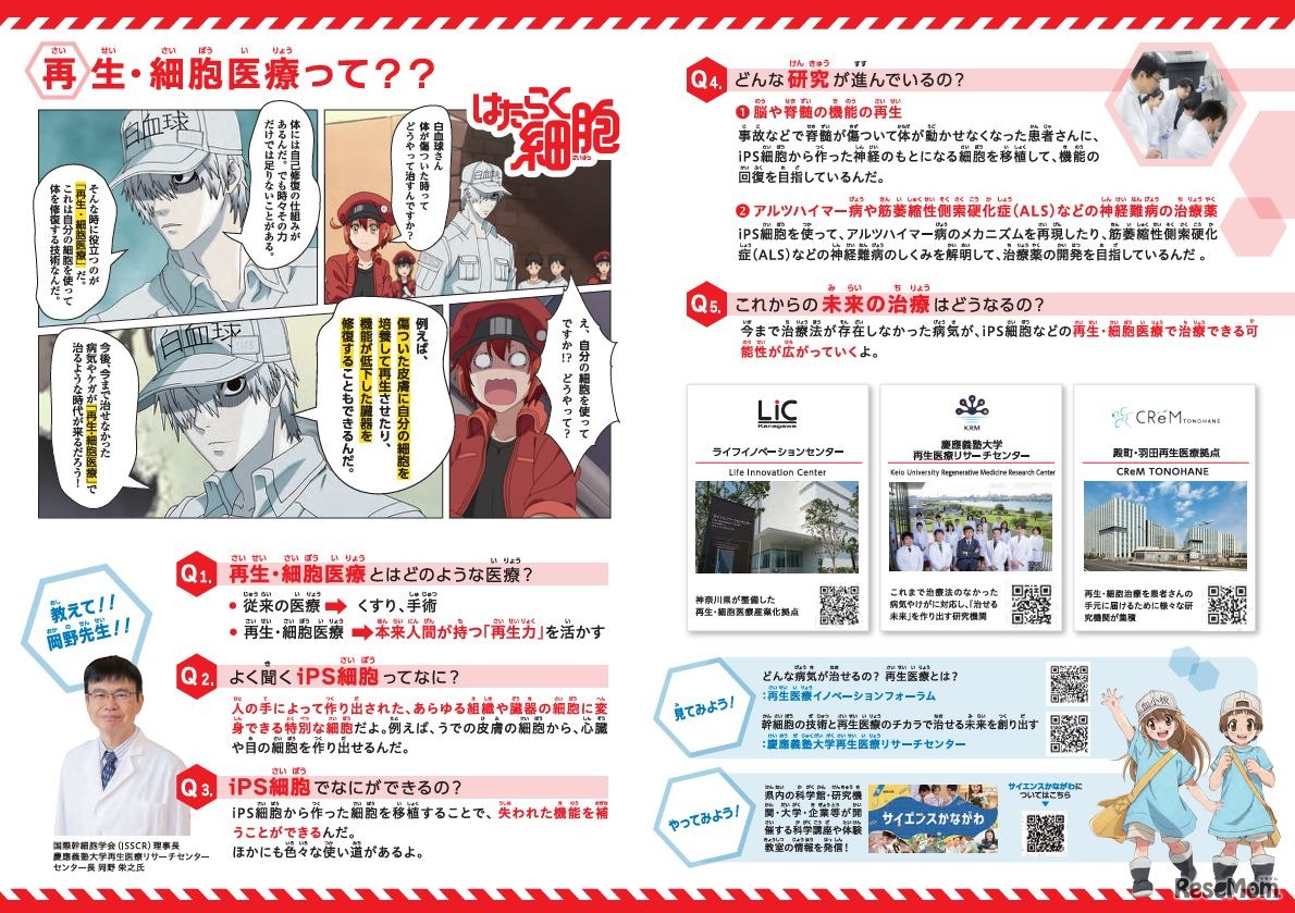 リーフレット (c) 清水茜／講談社・アニプレックス・davidproduction