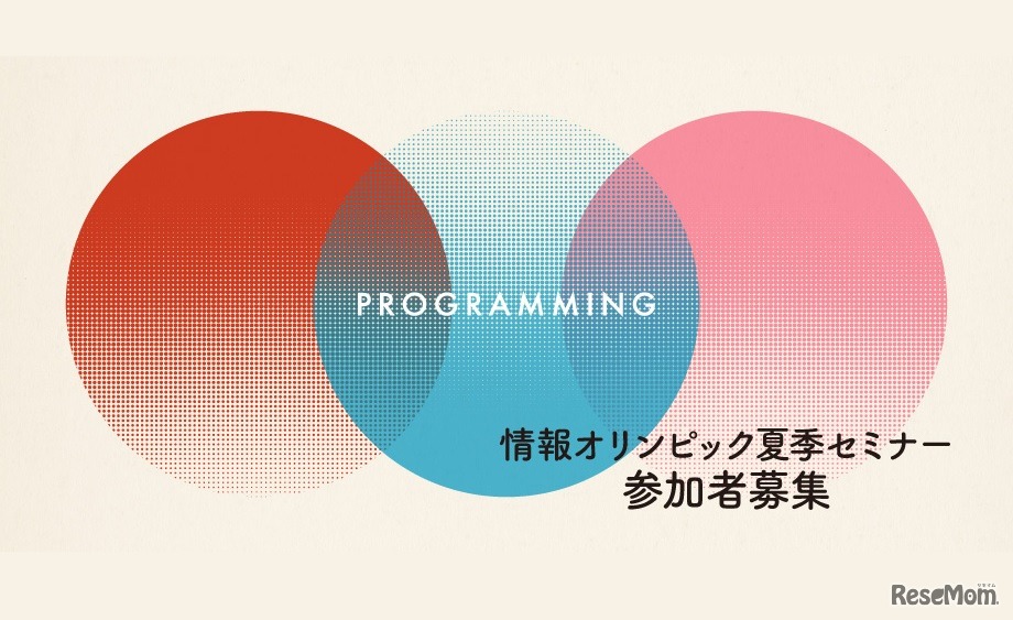 夏季セミナー「効率の良いアルゴリズムを一緒に学ぼう！」