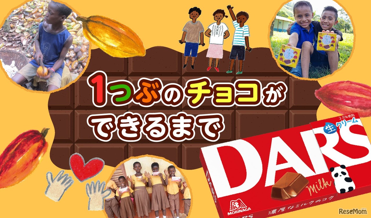 1つぶのチョコができるまで