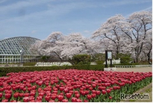 京都府立植物園