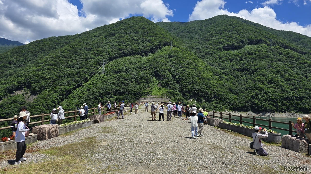 御母衣ダムの天端。向かって左側にはロックフィル、右側にはダム湖がある