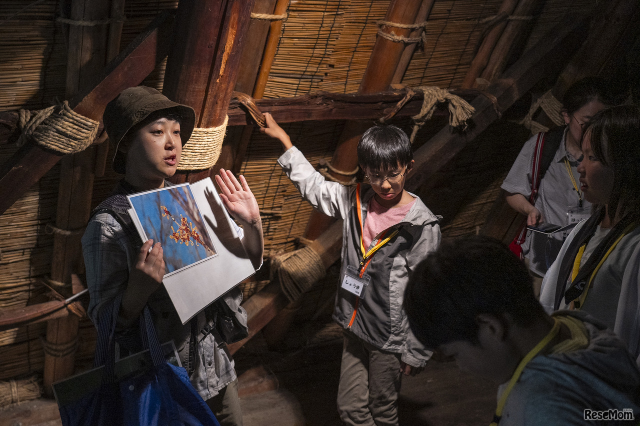 「リンリン」は、合掌家屋の「合掌」は人が手を合わせる形から名付けられたこと、屋根には釘が使われておらず「マンサク」という木の枝を使って屋根組が結ばれていること、屋根裏の構造を生かし養蚕が盛んに行われていたことなどを説明した