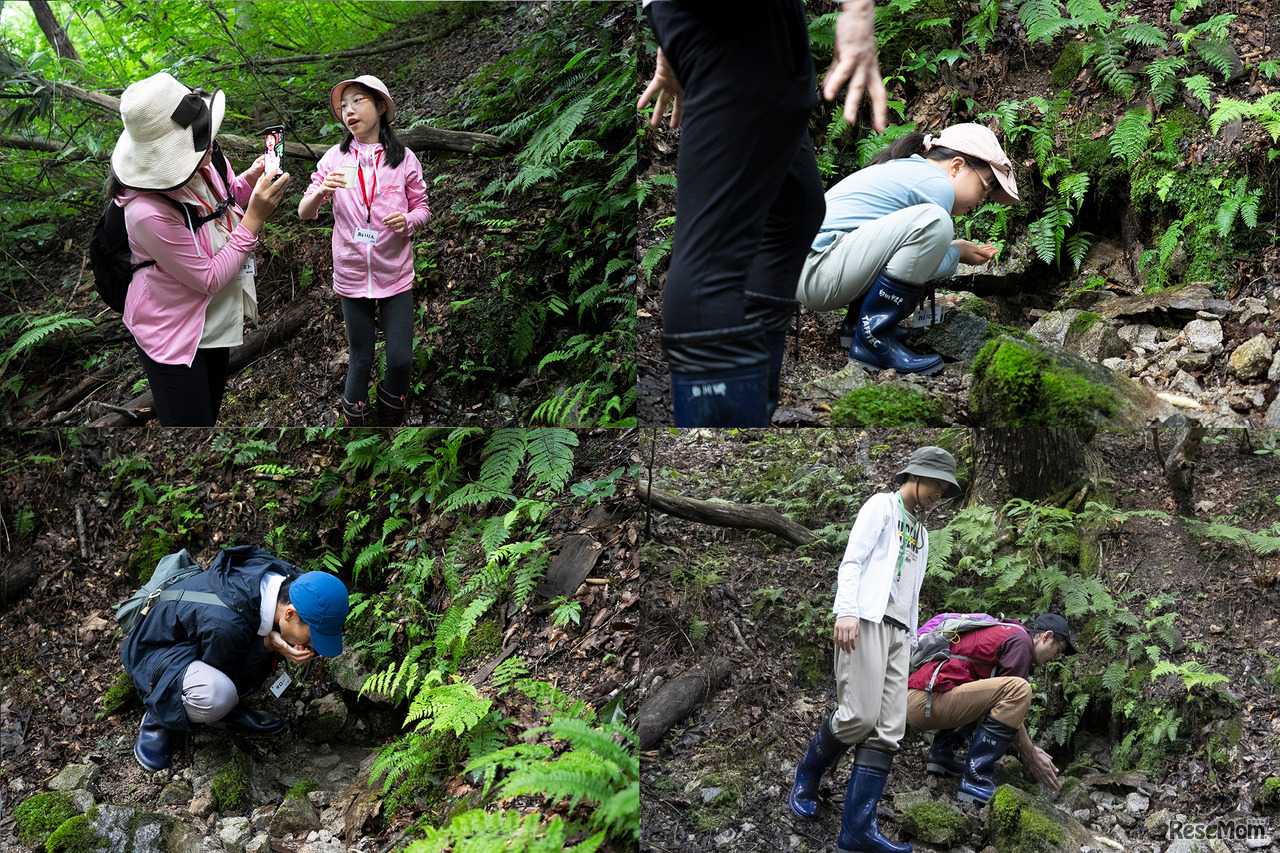 湧き水をひと口ずついただく。「冷たい！」「おいしい！」という声があがる