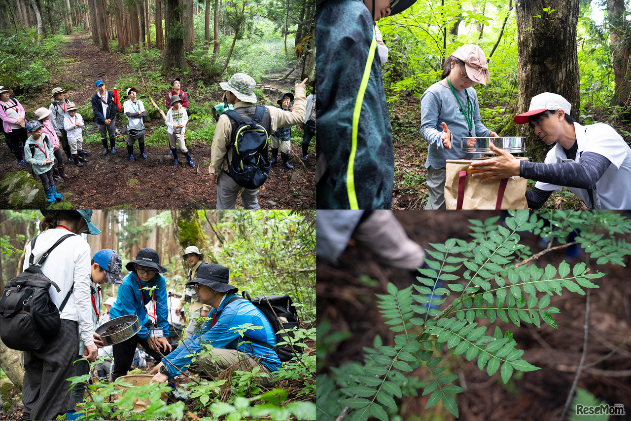 森の中の土を集めてザルでふるってみると丸い土のかたまりのようなものが残った