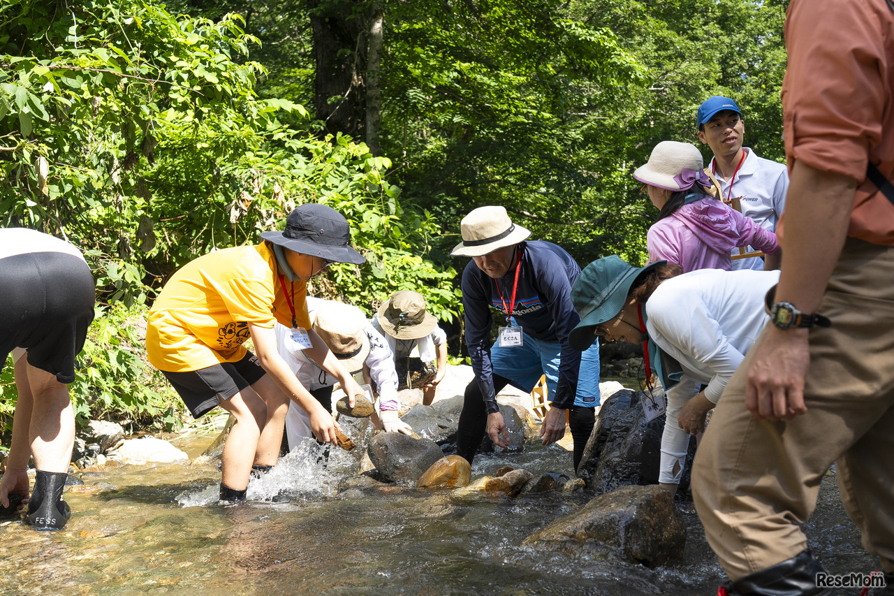 地道に石を集めて積みながら、水の流れをつくる