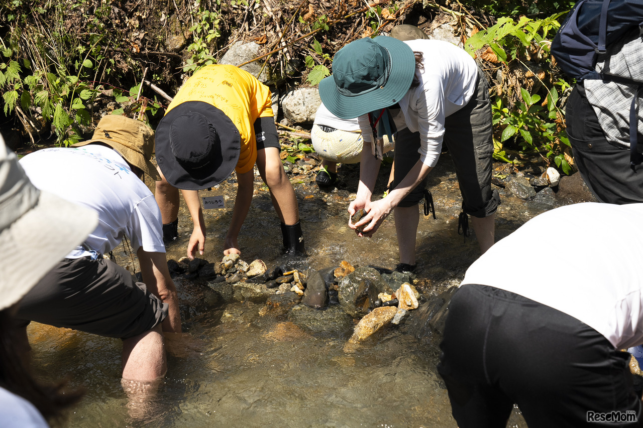地道に石を集めて積みながら、水の流れをつくる