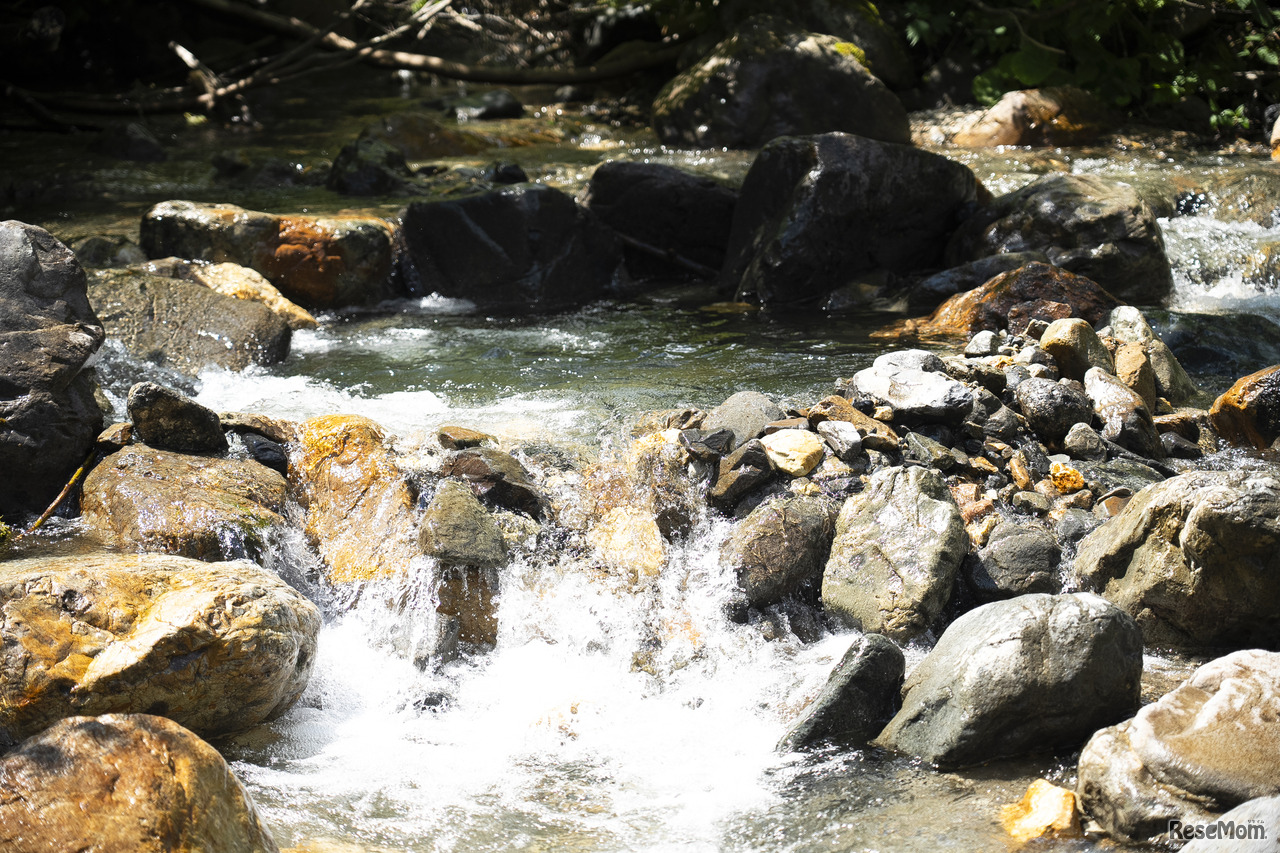 皆でつくった小さなダムから流れる水の勢いに、パワーとありがたみを感じた