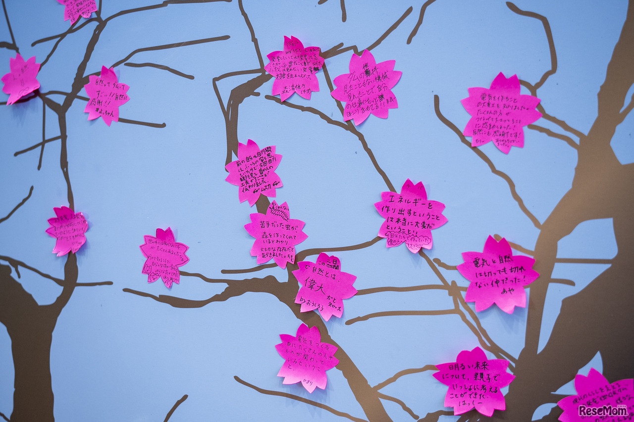 「たくさんの人がつながり、電気がつくられているとわかって感動した」「苦手な虫が森を作ってくれているとわかった」「親子で明るい未来について考えることができた」などさまざまな思い集まった