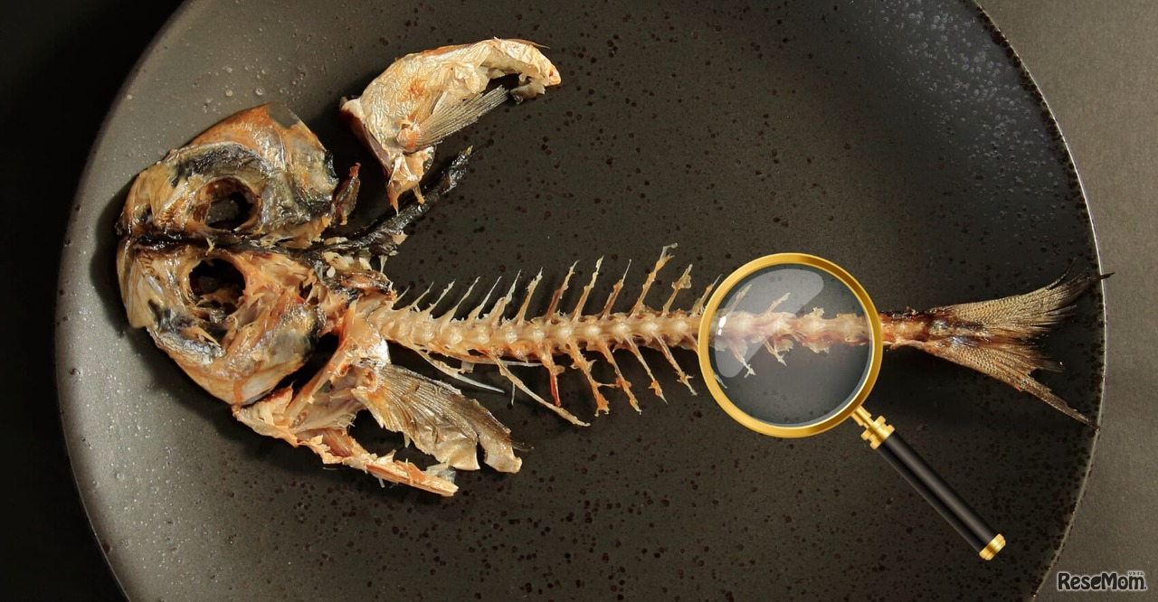 【実験】魚の骨を大研究