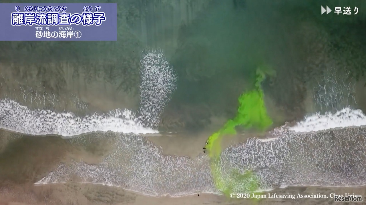 離岸流（リップカレント）