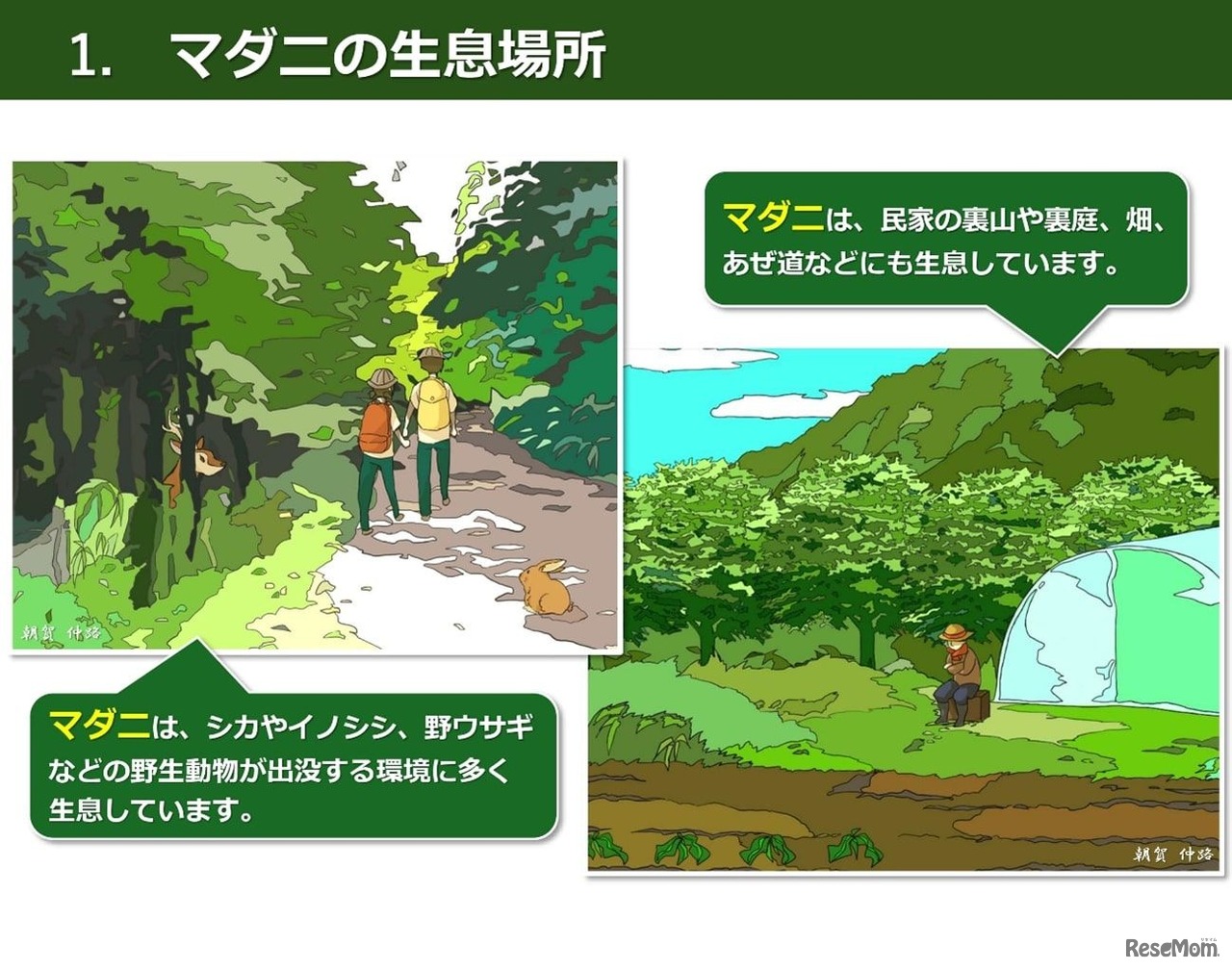 マダニの生息場所