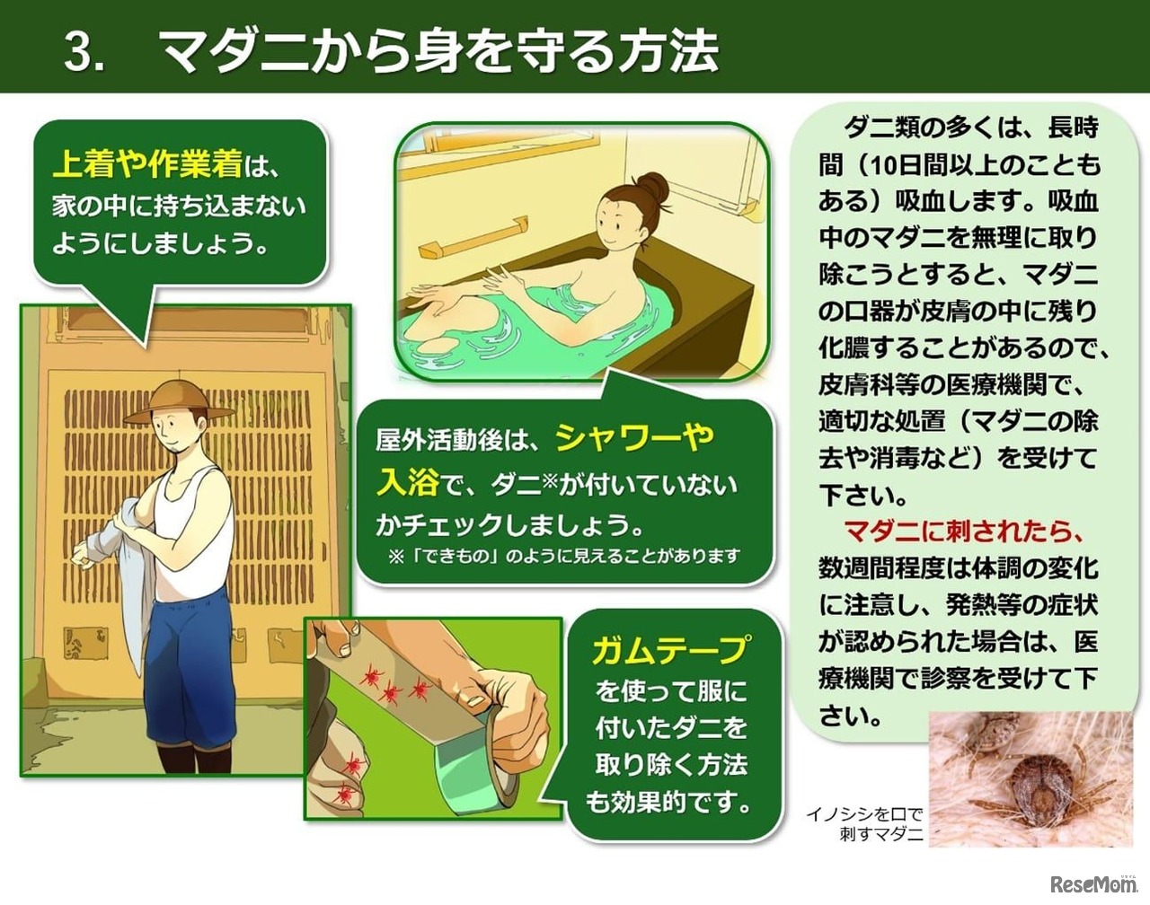 マダニから身を守る方法