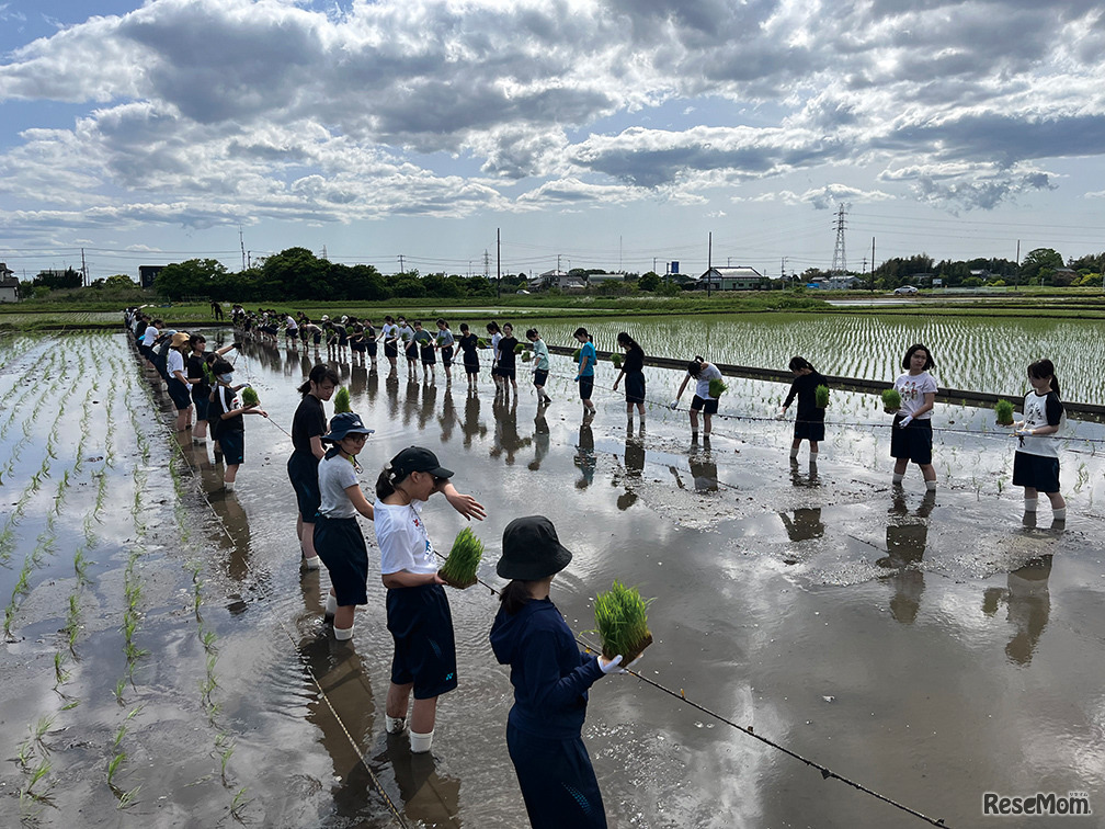 「探究」一粒のお米から世界を見通す