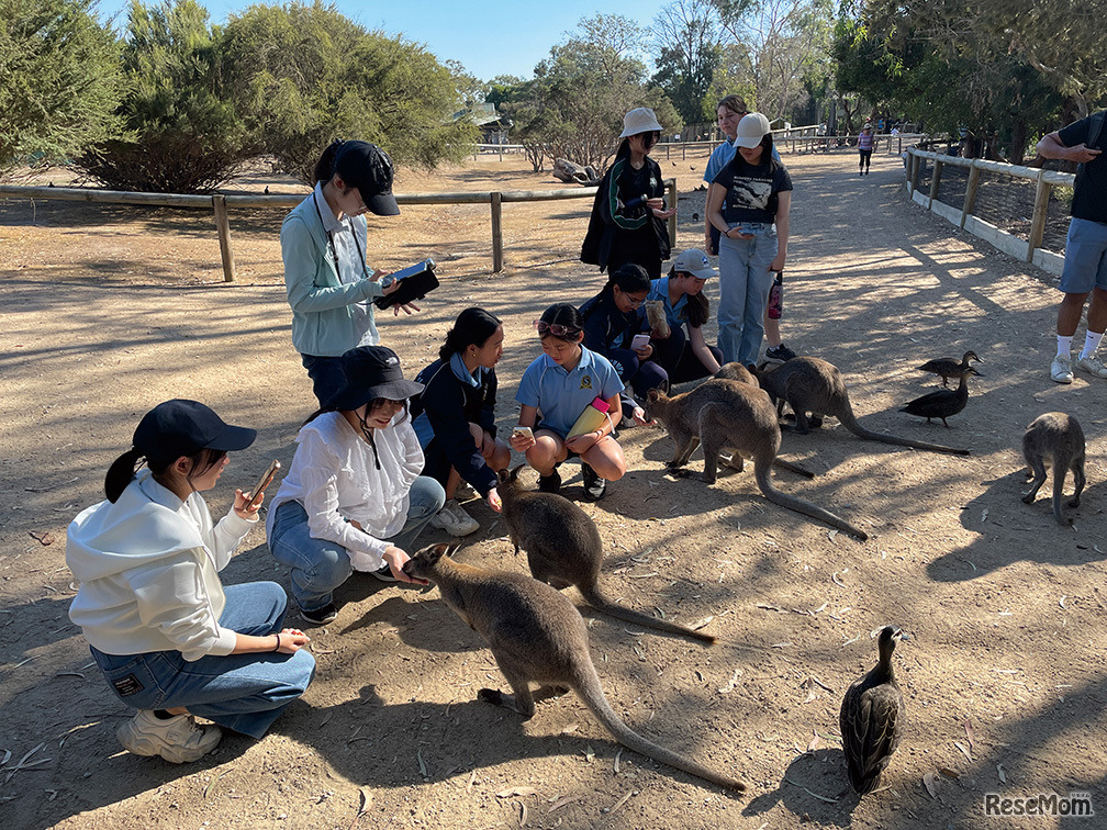 中学3年生を対象としたオーストラリア研修