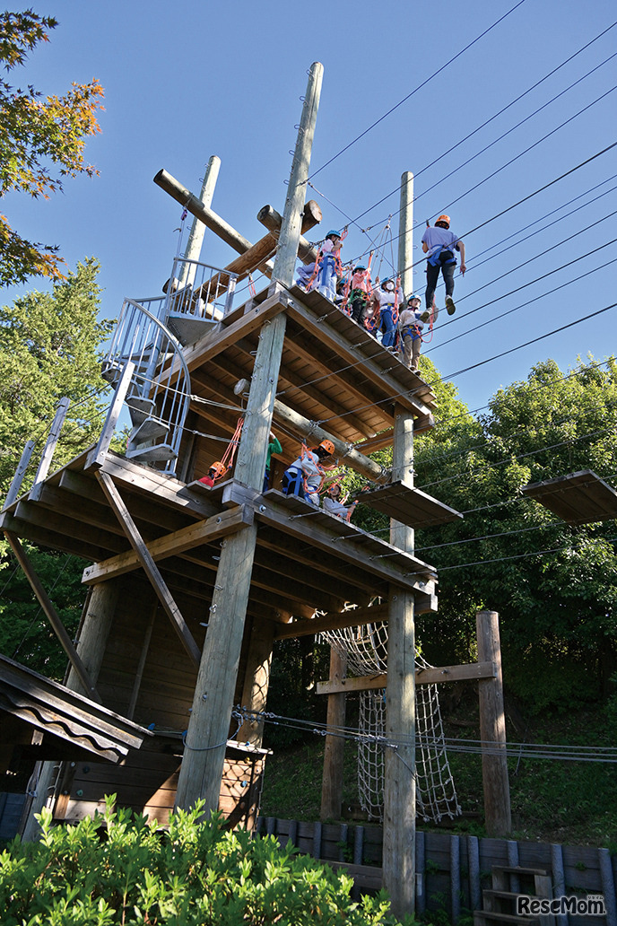 コスモスウィーク「TAP」
