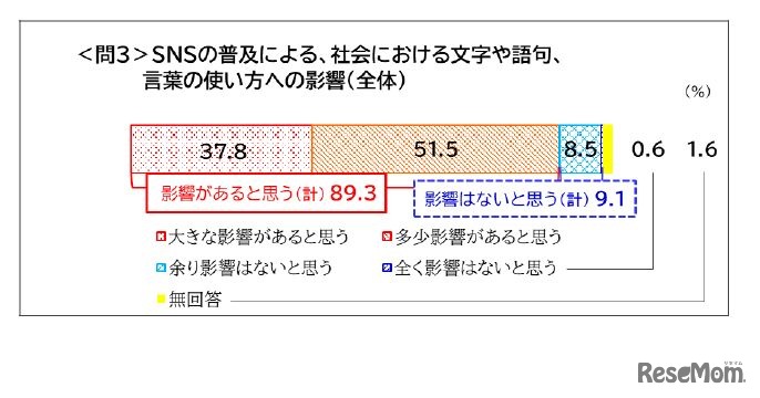 SNSの普及による、社会における文字や語句、言葉の使い方への影響