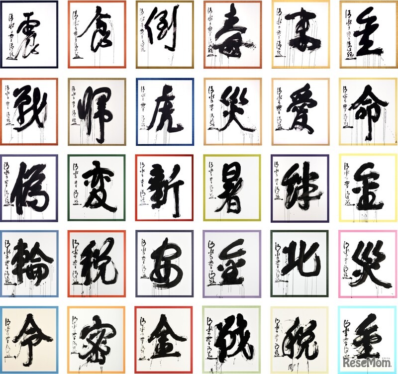 1995年から2024年までの過去30回分の「今年の漢字」の大書（揮毫：清水寺 森清範貫主）
