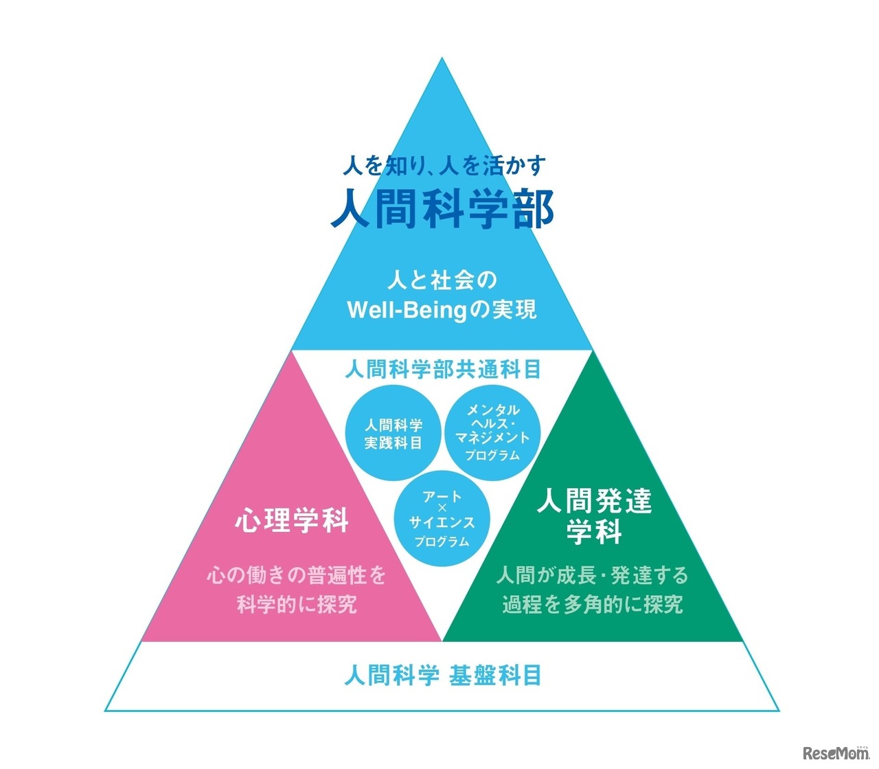 新学部を象徴する共通科目・プログラムの新設