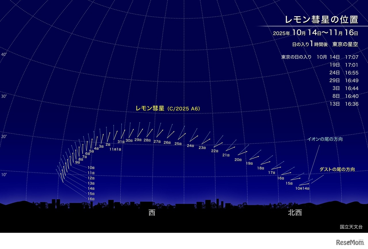 レモン彗星の位置（2025年10月14日～11月16日）東京の星空
