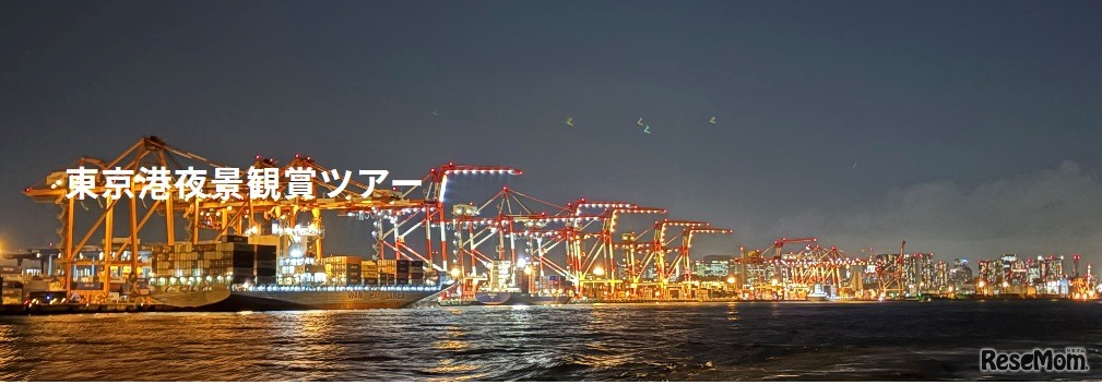 東京港夜景観賞ツアーでの夜景