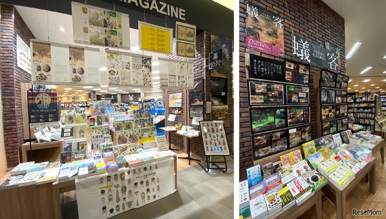 未来屋書店 北戸田店 2025年12月5日リニューアルオープン