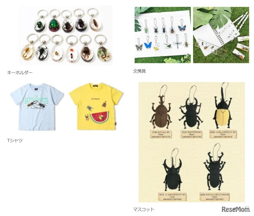 みらいや昆虫館inみらいやの森