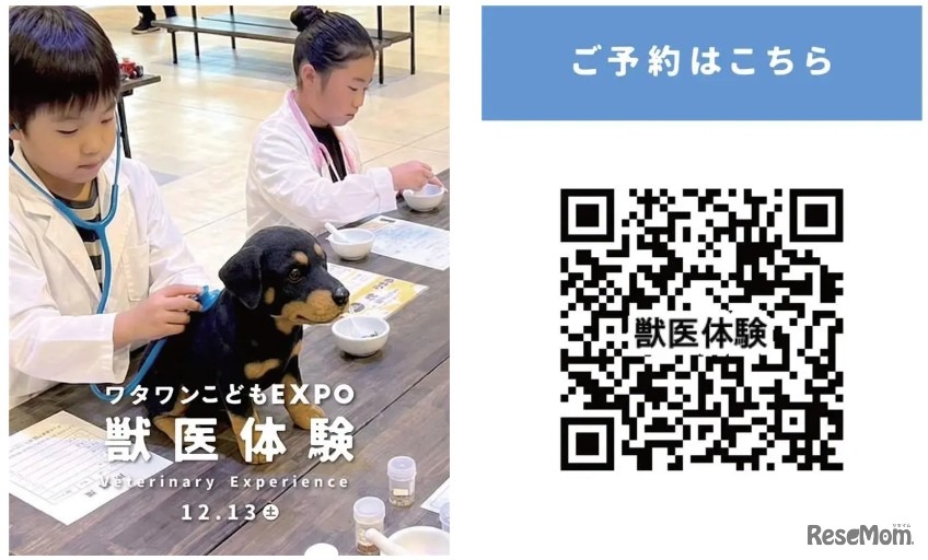 獣医さん体験（4回実施、各回5名限定・先着制）