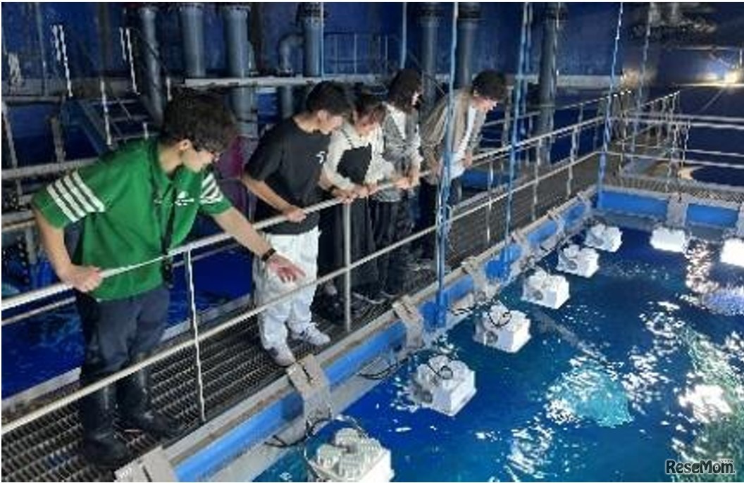 バックヤードツアーのようす