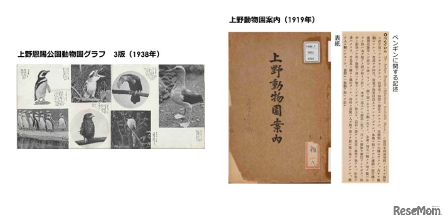 企画展示「TOKYO PENGUIN LIBRARY」東京×ペンギン コーナー