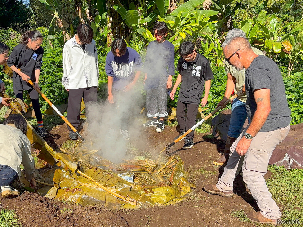 伝統的な地中蒸し料理をするようす