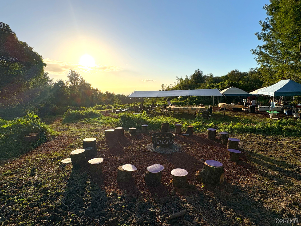 SOSHI Aloha Camp 敷地内