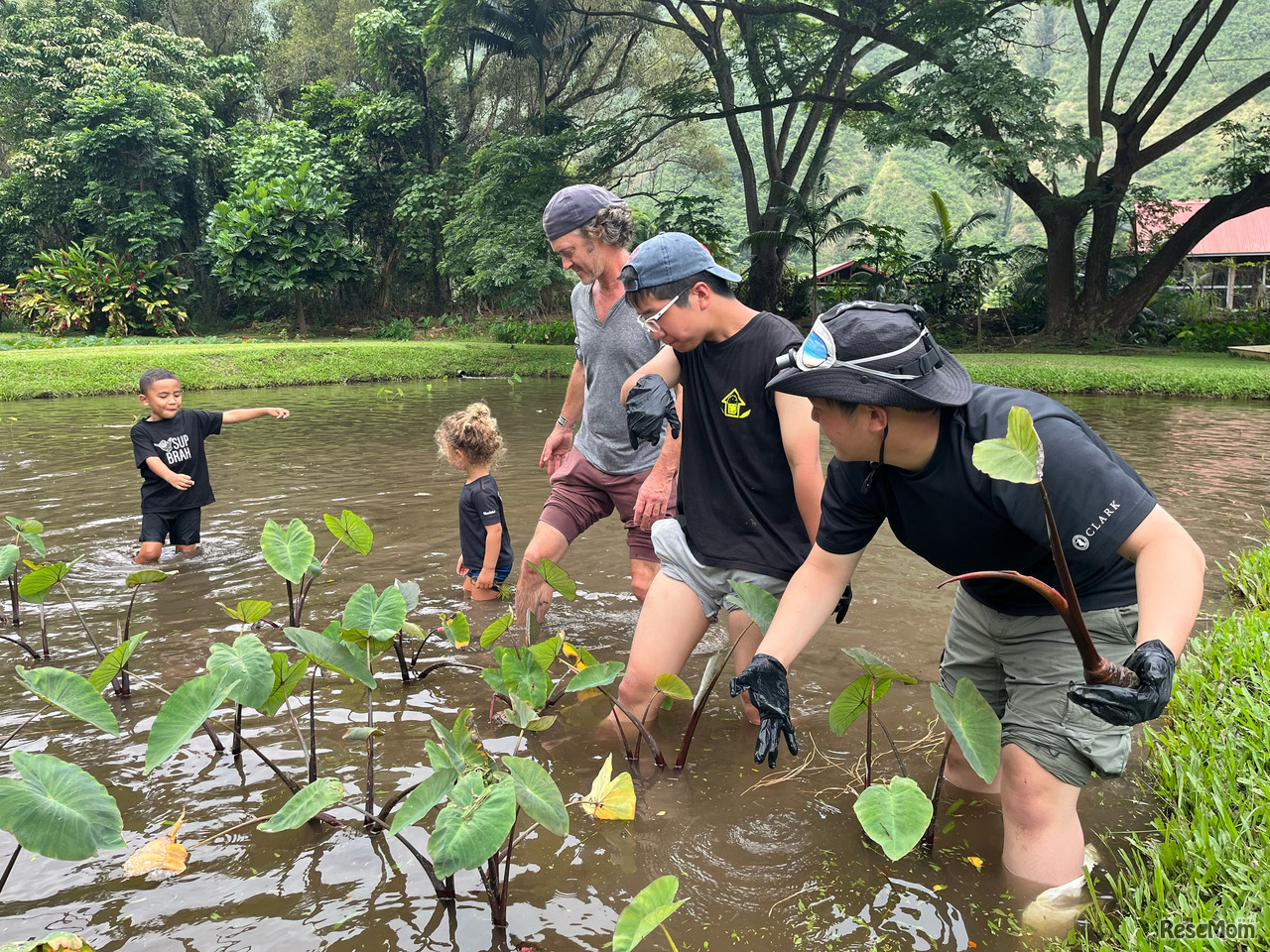 ネイチャー・エクスプローラー