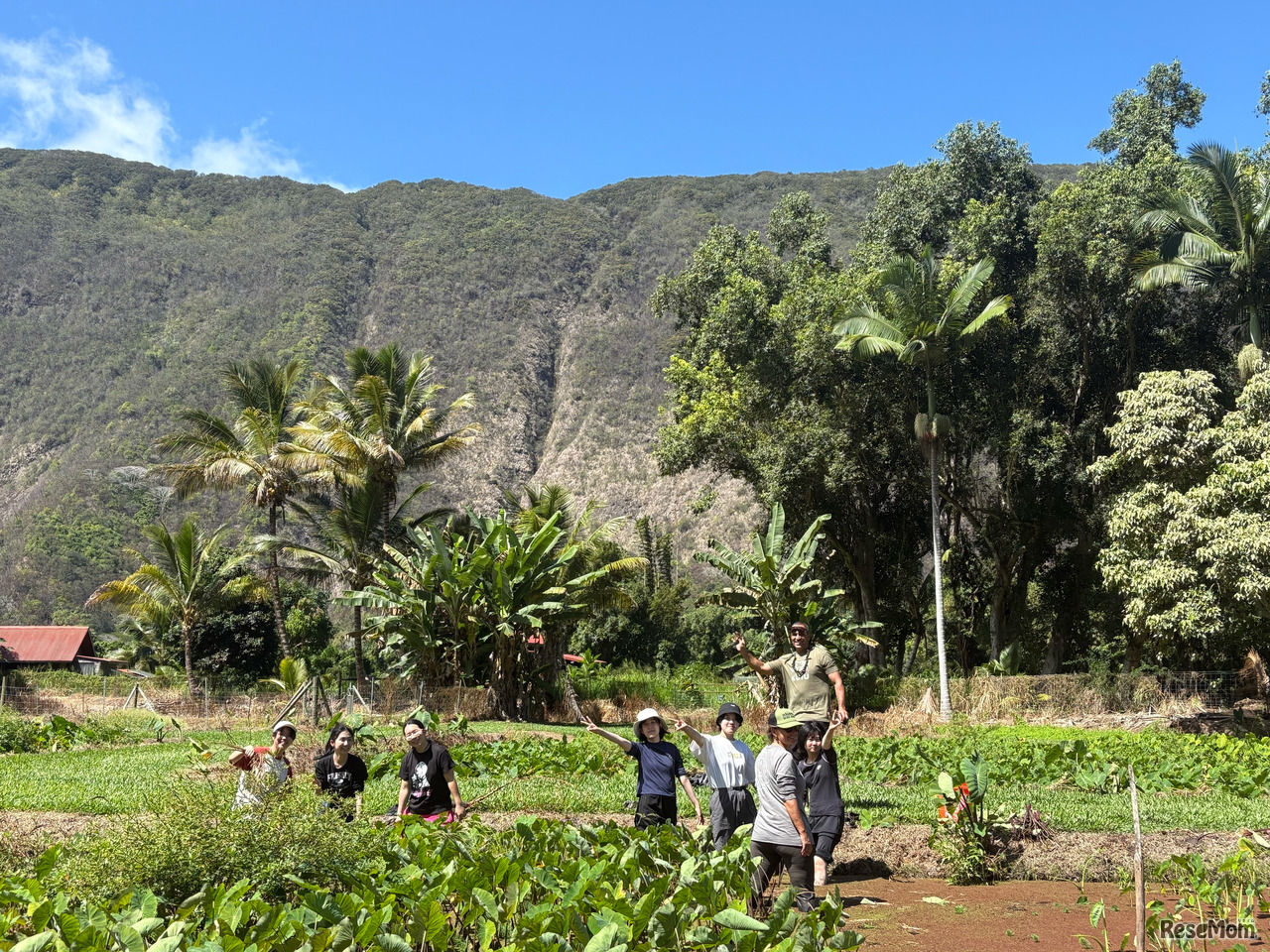 SOSHI Aloha Camp 敷地内