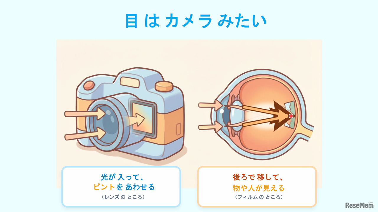 当日のスライド資料「目はカメラみたい」