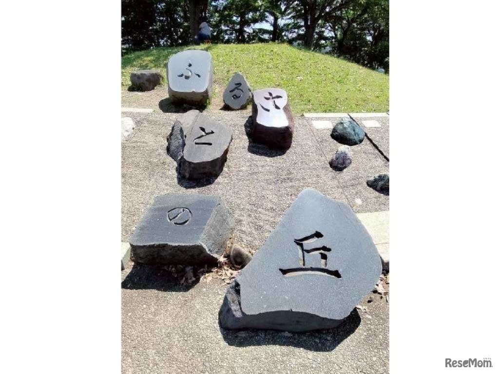 都立武蔵野の森公園で47都道府県の石の観察会